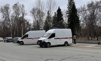 В Новосибирске «Тойота» влетела в дерево – двое пострадали