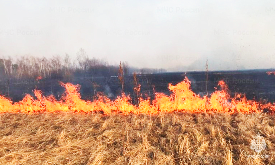 В Новосибирской области запретили разведение открытого огня