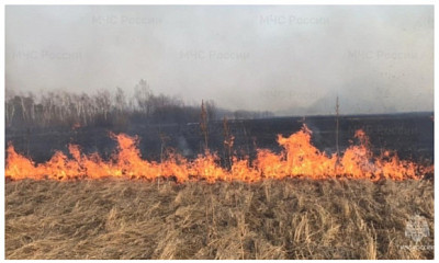 В Новосибирской области тракторист спас от пожара целое село