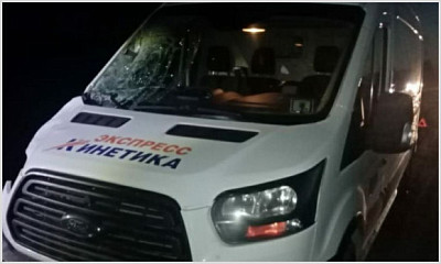 Микроавтобус ночью насмерть сбил пешехода на трассе Новосибирск-Барнаул