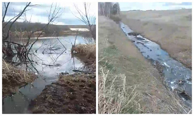 Житель Новосибирской области пожаловался на загрязнённые озёра