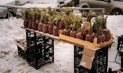В Новосибирске торговцы продавали ананасы вместо цветов к 8 Марта