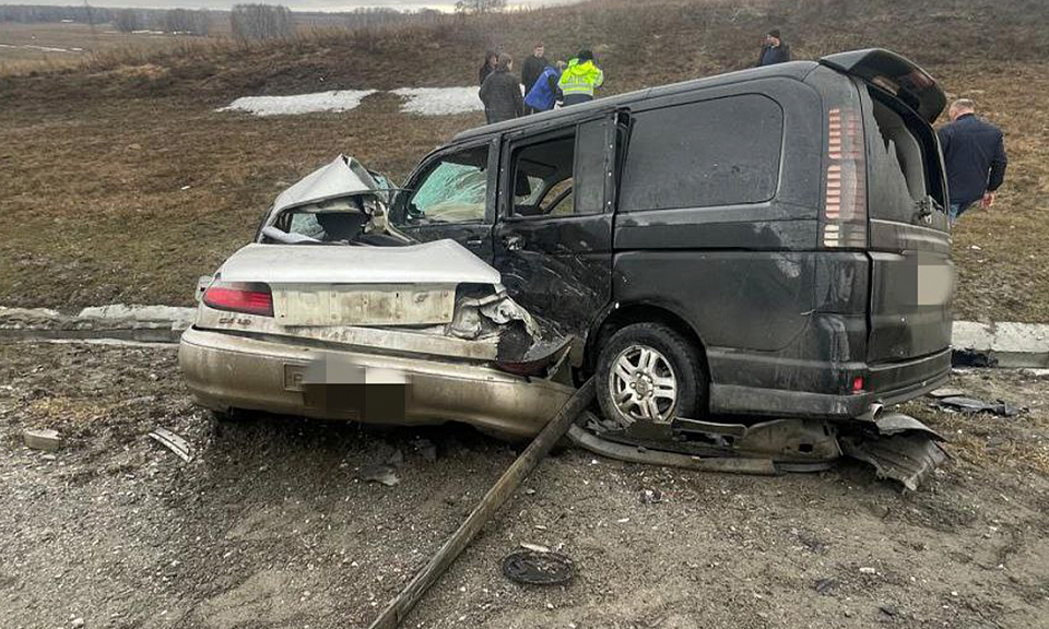 В Новосибирской области в смертельном ДТП погиб водитель Toyota Carina