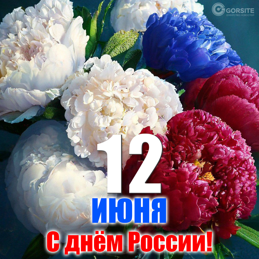 12 июня День России | Волгодонский техникум металлообработки и машиностроения