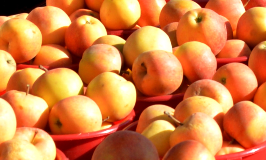 Из-за белорусских большегрузов запретили парковаться на Ленина в ...