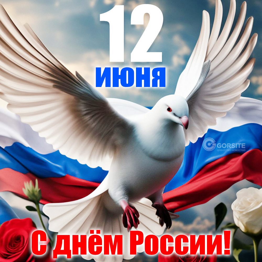 День России 12 июня 2024 года: лучшие открытки и поздравления | 12.06.2024  | Новосибирск - БезФормата