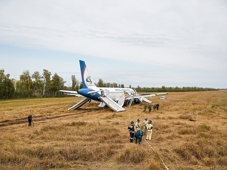 Решена судьба севшего в поле под Новосибирском самолёта Airbus A320