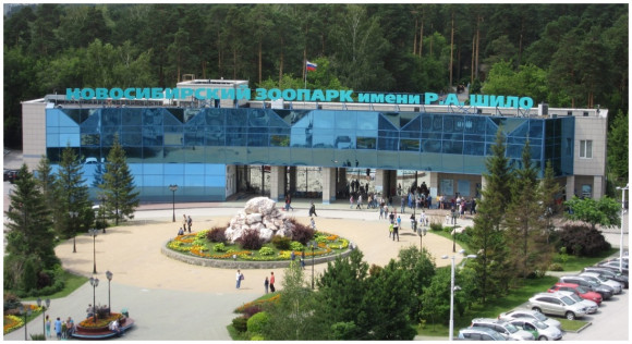 Новосибирский зоопарк перешёл на летнее расписание с 28 марта