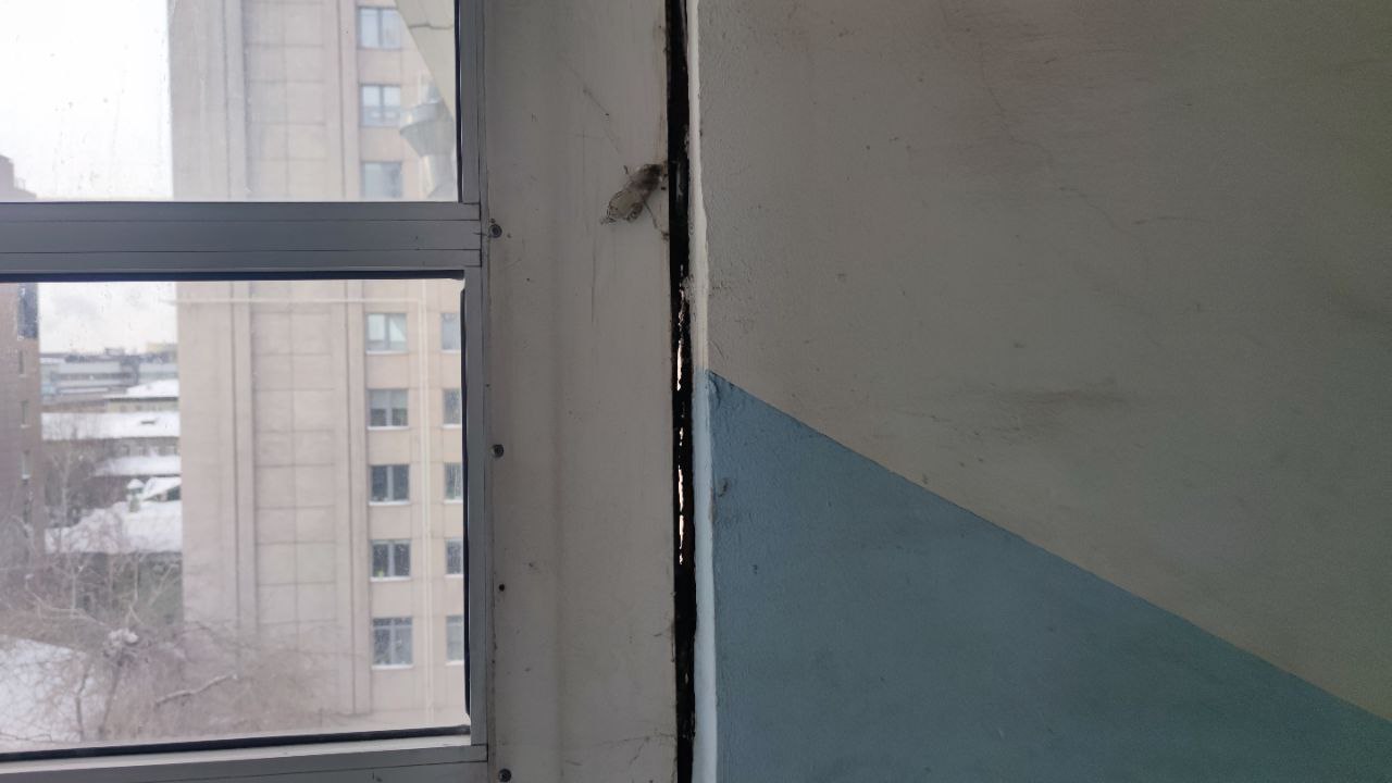 photo_2025-12-12_13-27-21.jpg photo_2025-12-12_13-27-21.jpg