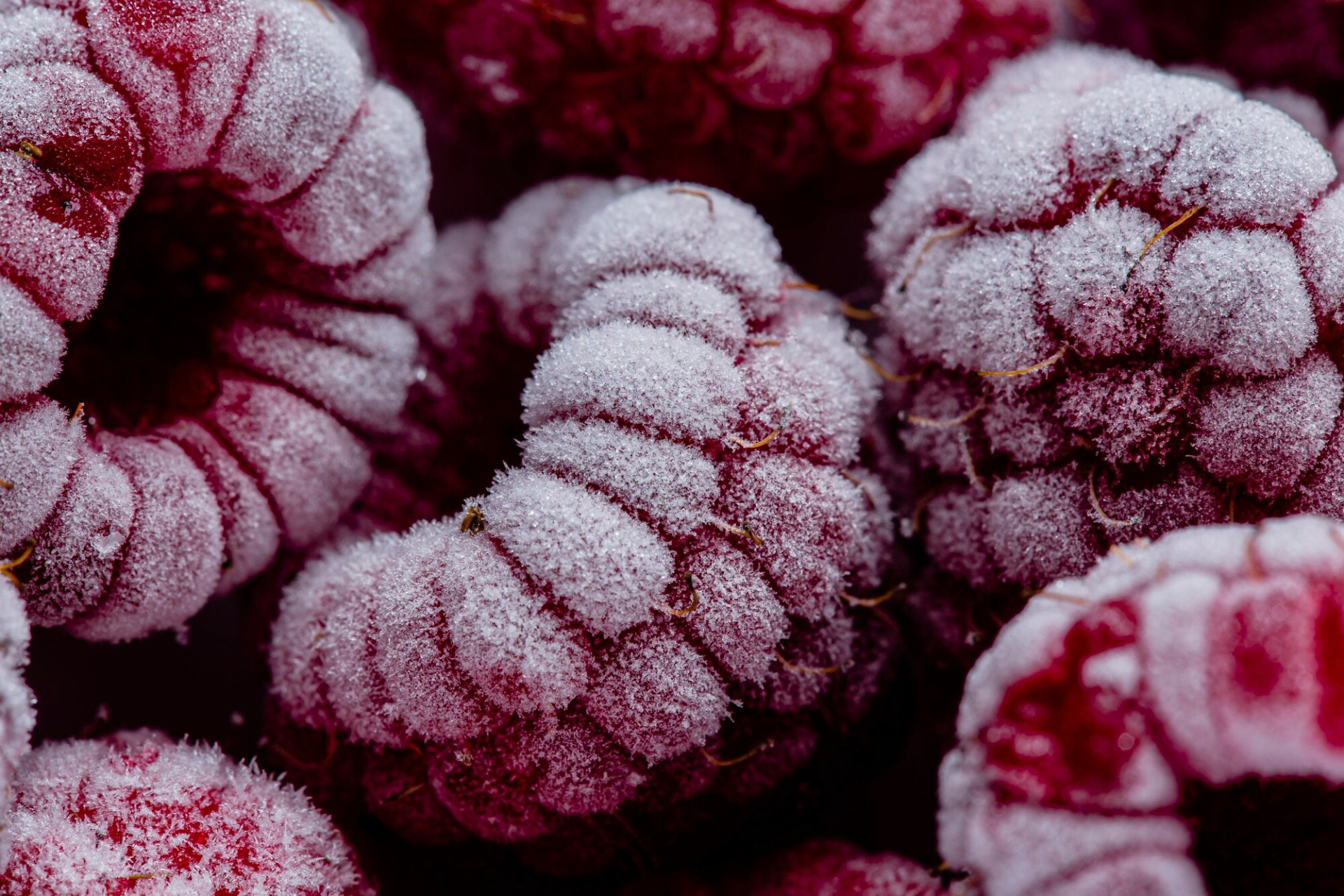 macro-frozen-fruits-arrangement_23-2148780514.jpg