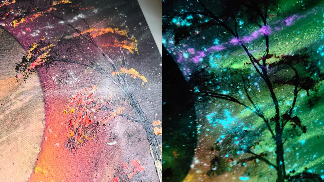 MyCollages - 2026-08-25T162613.708.jpg