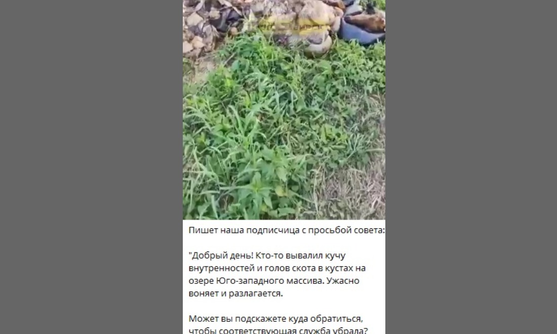 пост 3.jpg пост 3.jpg