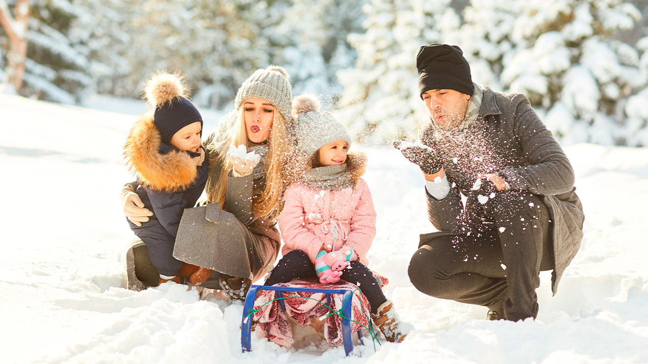 прогулки земой.jpg