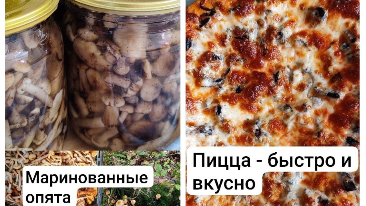 MyCollages-87-2.jpg MyCollages-87-2.jpg