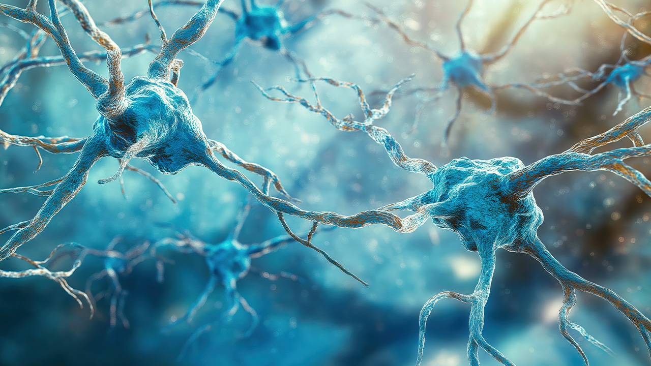 нейроны ИИ freepik.com.jpg