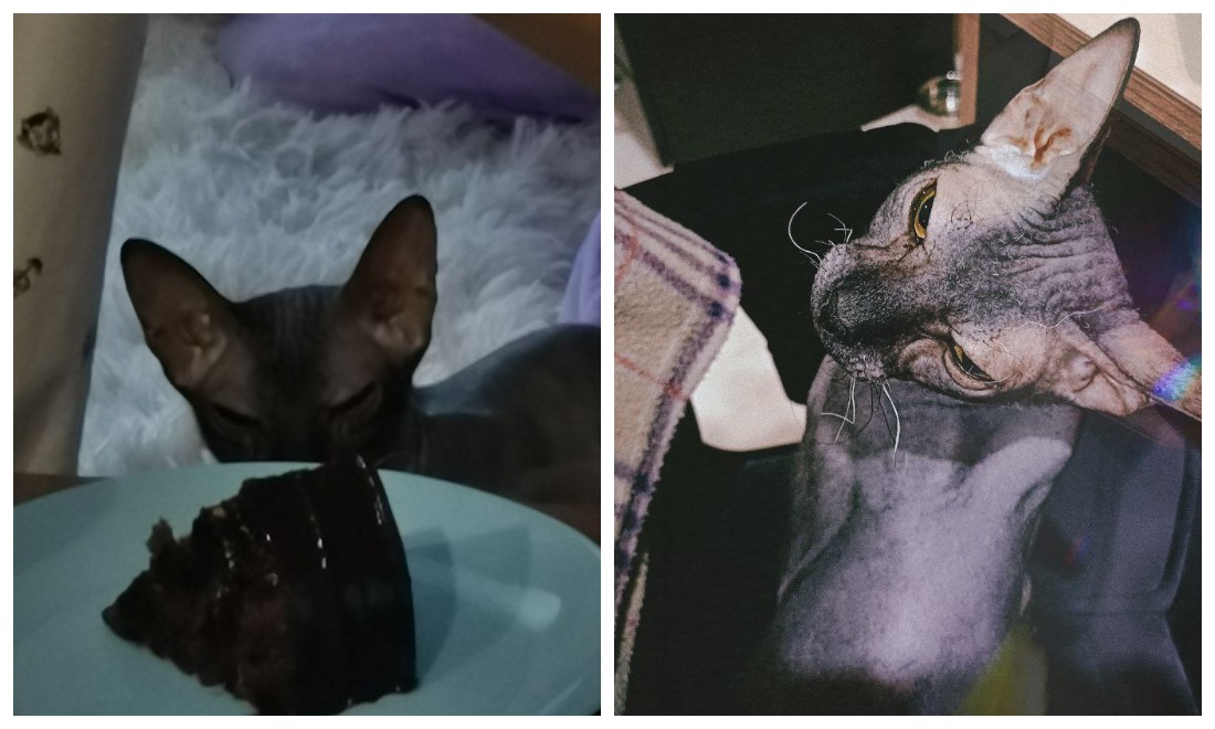 Fotoram.io (11).jpg Fotoram.io (11).jpg