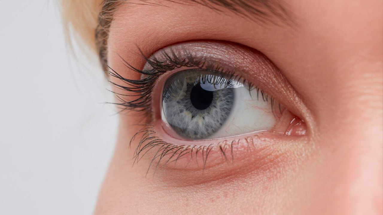 глаз vecteezy.com.jpg