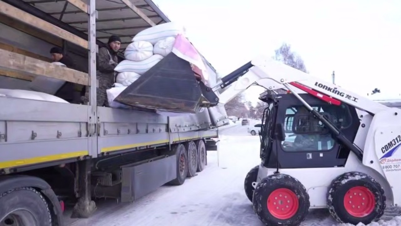 зоо груз.jpg зоо груз.jpg