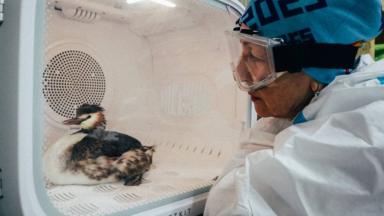 result_BLYJv3TZB-Kfl_1bcIRM2-gTvFHHDaqX9xMmVFkJuyf8bbL6iZHW_21h2CF8sT6Ni7fv8cd1s3dyD-zjdiGIFDbK.jpg result_BLYJv3TZB-Kfl_1bcIRM2-gTvFHHDaqX9xMmVFkJuyf8bbL6iZHW_21h2CF8sT6Ni7fv8cd1s3dyD-zjdiGIFDbK.jpg