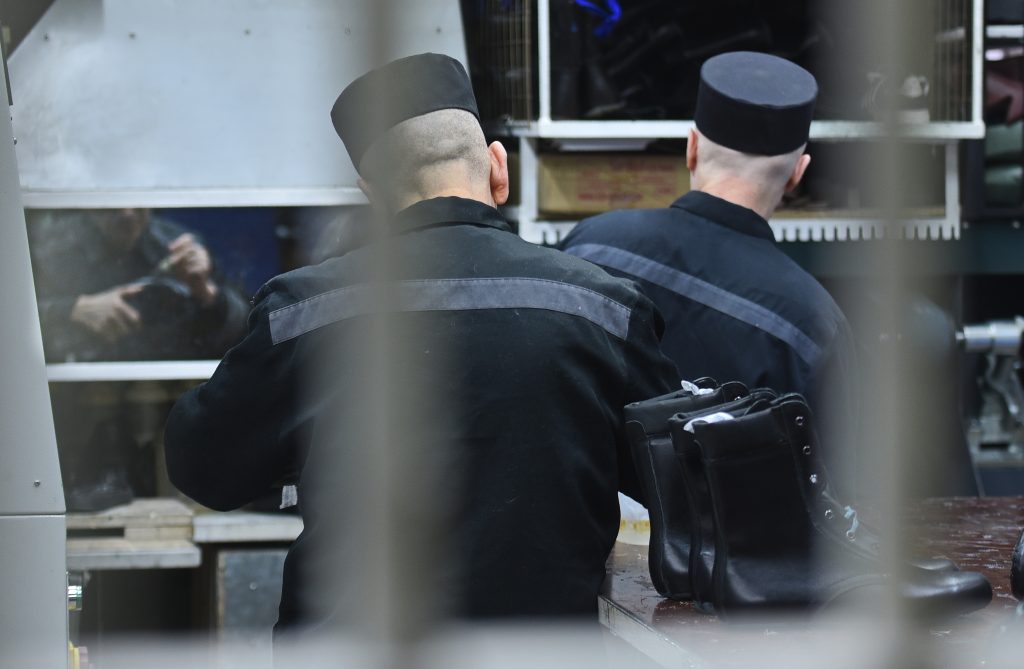 колония-Черный-дельфин-ноябрь-2025-11-2-1024x669.jpg колония-Черный-дельфин-ноябрь-2025-11-2-1024x669.jpg