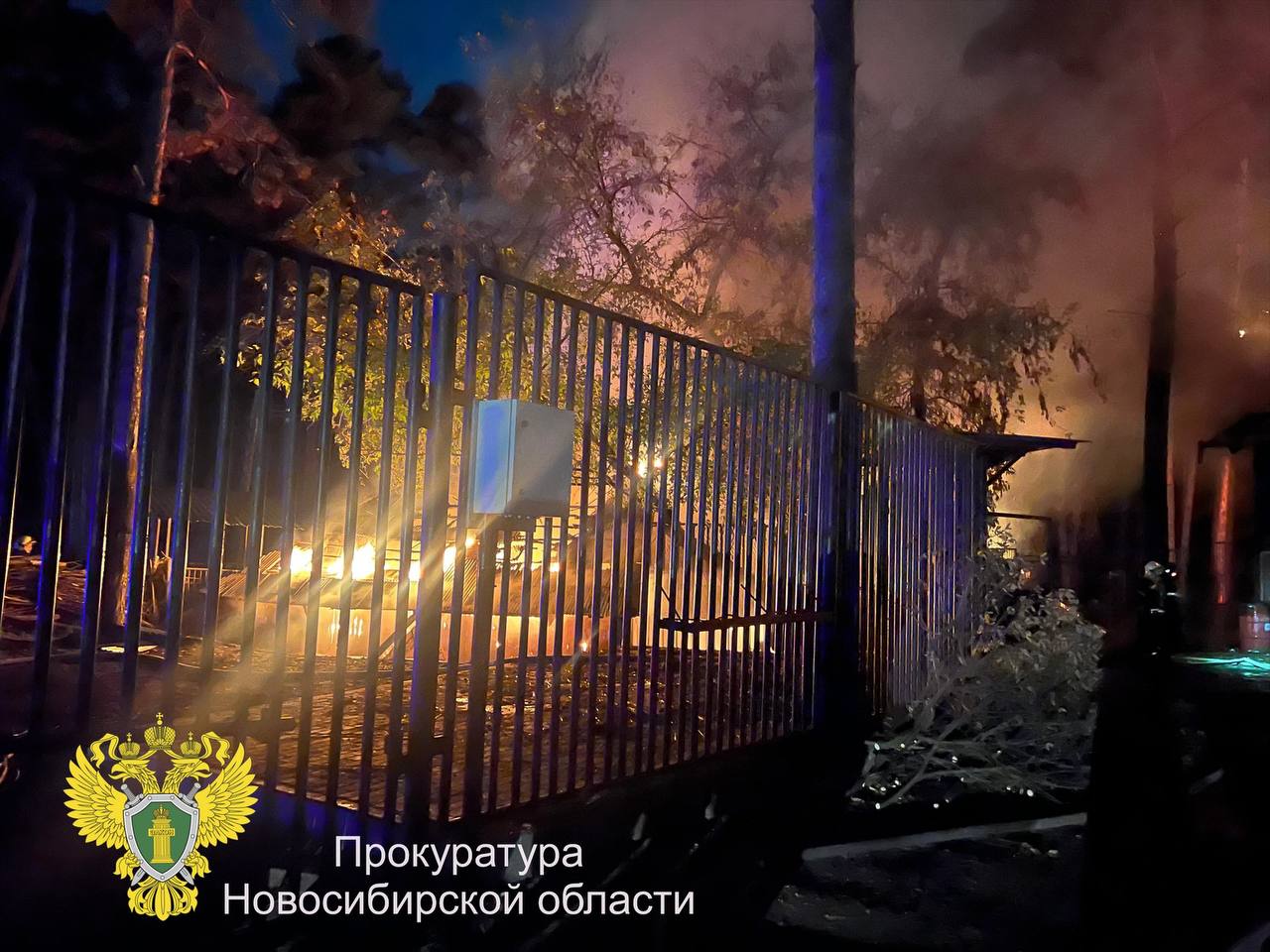 photo_2025-09-23_23-42-06.jpg photo_2025-09-23_23-42-06.jpg