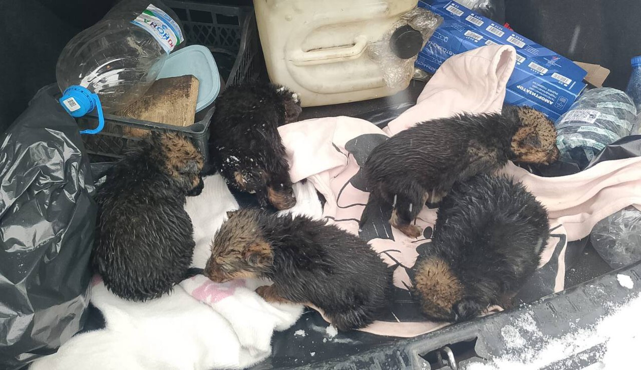 result_photo_5233614845469462450_y.jpg result_photo_5233614845469462450_y.jpg