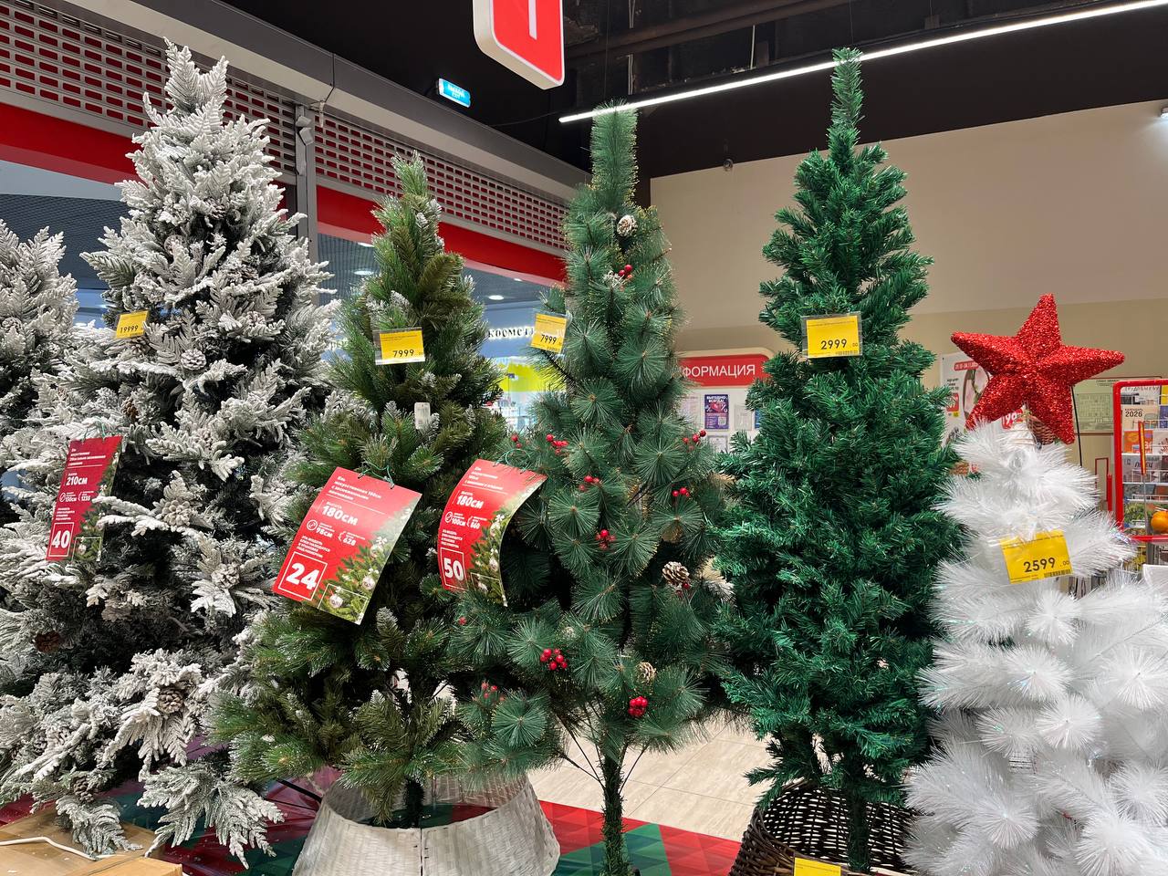 photo_2025-10-29_11-53-19 (2).jpg