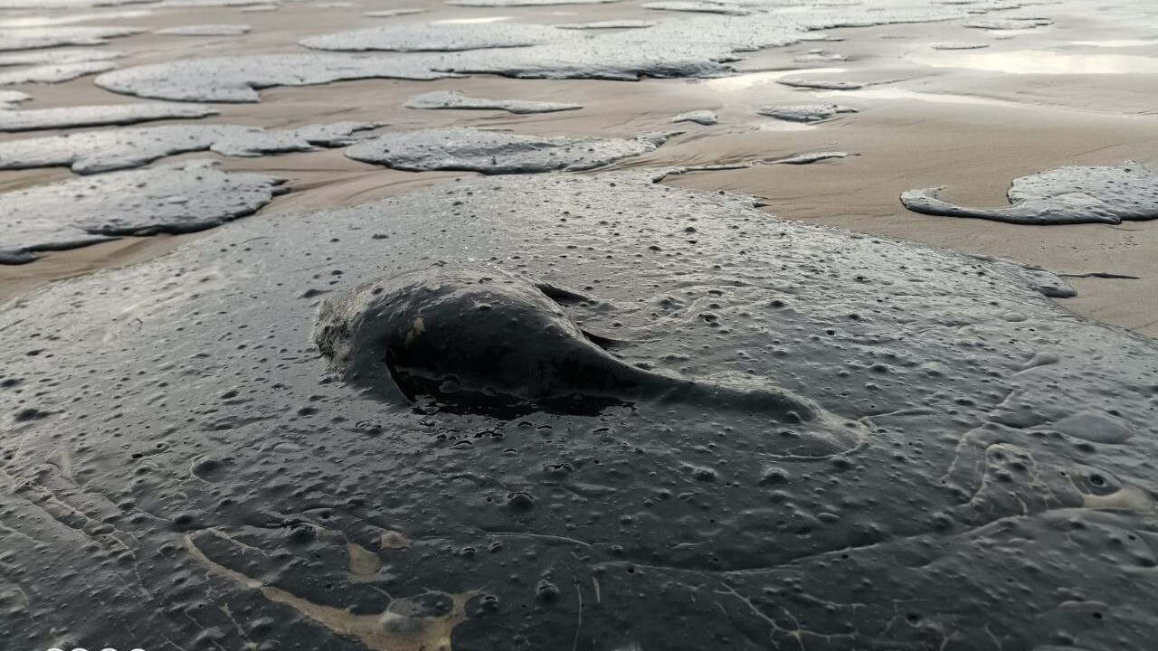 result_U8vZXr09nt8mLWAfRQHSGjWhjSG1Am-NsUEFo3f32hbnpg2XJTz6MhKcW-VNOeC_z3xGpRwcNmIQoWIsttNbwegh.jpg result_U8vZXr09nt8mLWAfRQHSGjWhjSG1Am-NsUEFo3f32hbnpg2XJTz6MhKcW-VNOeC_z3xGpRwcNmIQoWIsttNbwegh.jpg