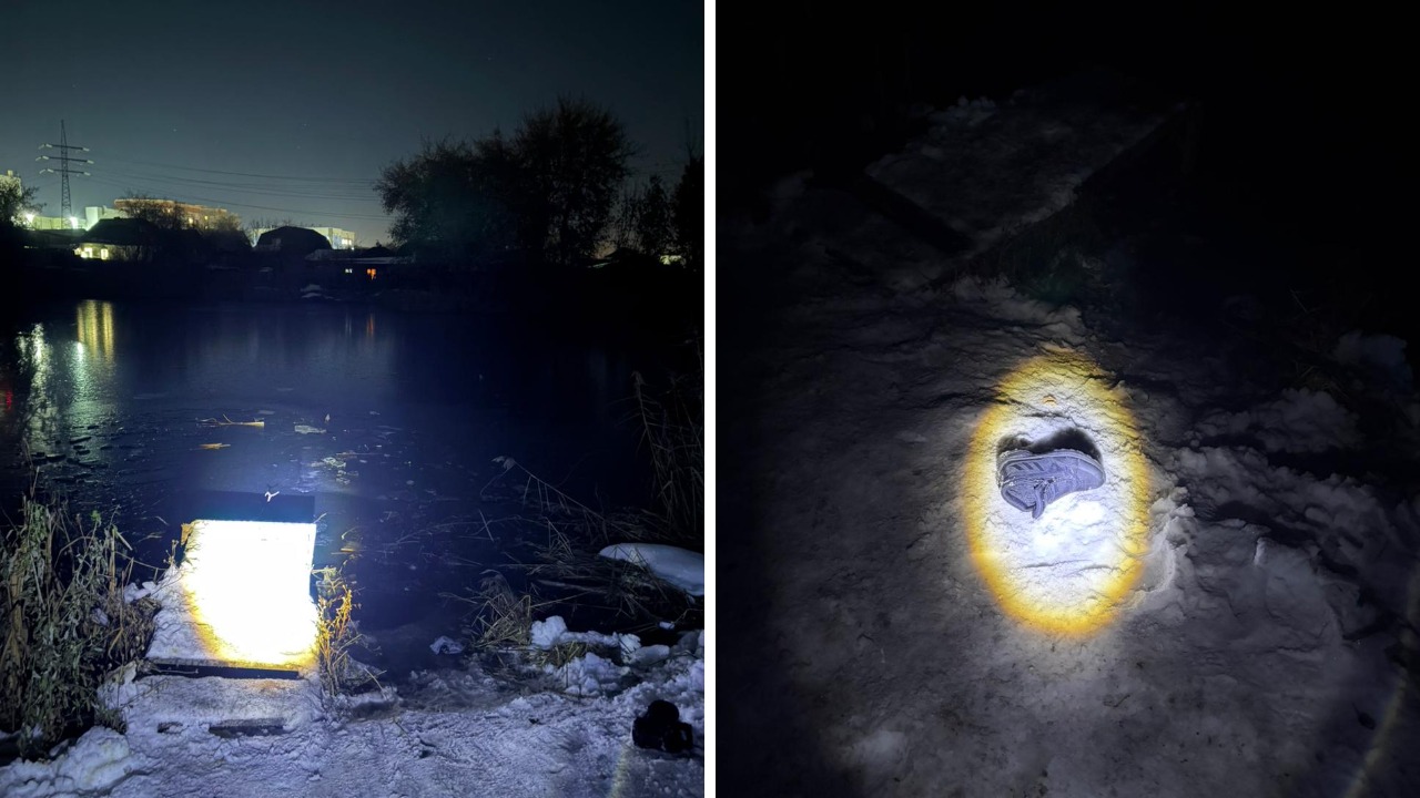 collage.jpg collage.jpg