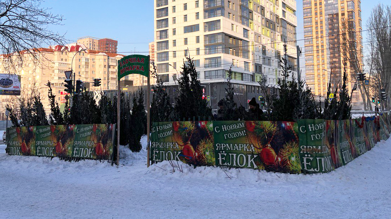 ёлочный базар фото Виктории Рыжих2.jpg