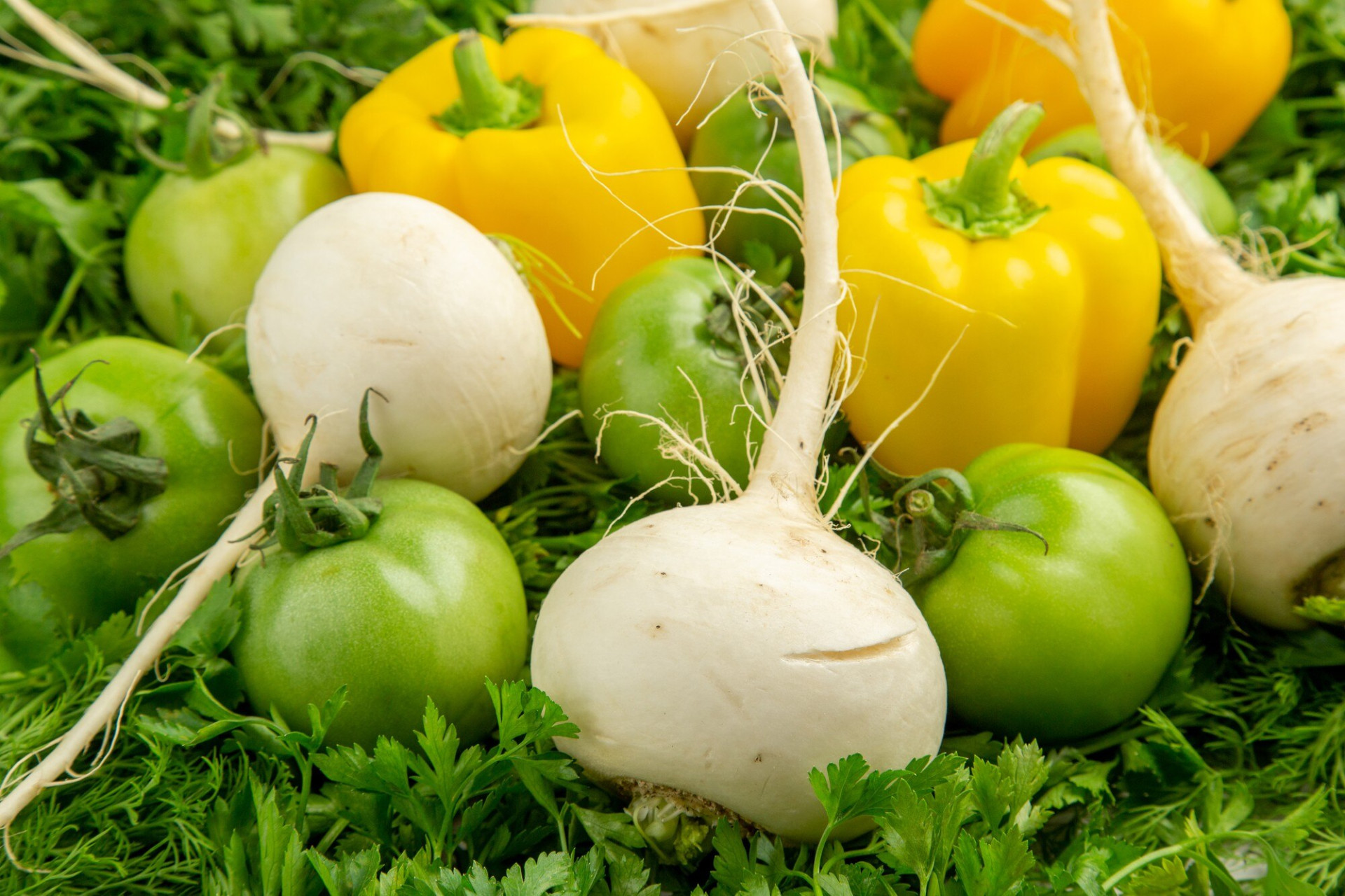 front-view-fresh-greens-with-green-tomatoes-radish-bell-peppers-white-background-meal-diet-healthy-life-color-salad-photo_140725-98128.jpg