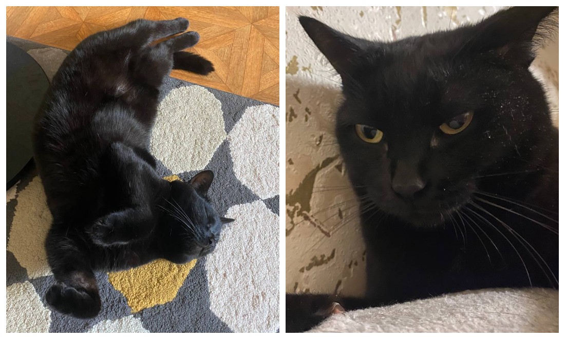 Fotoram.io (10).jpg Fotoram.io (10).jpg