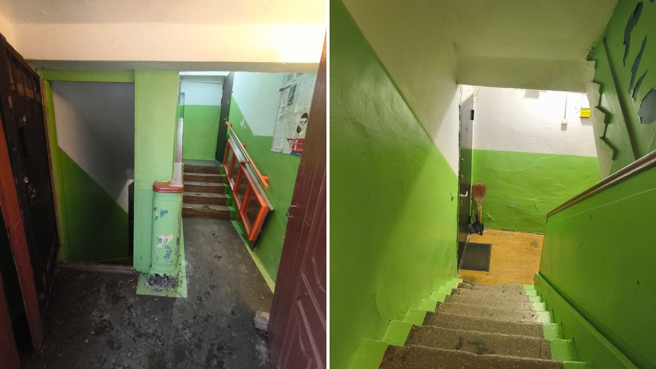 collage (17).jpg collage (17).jpg