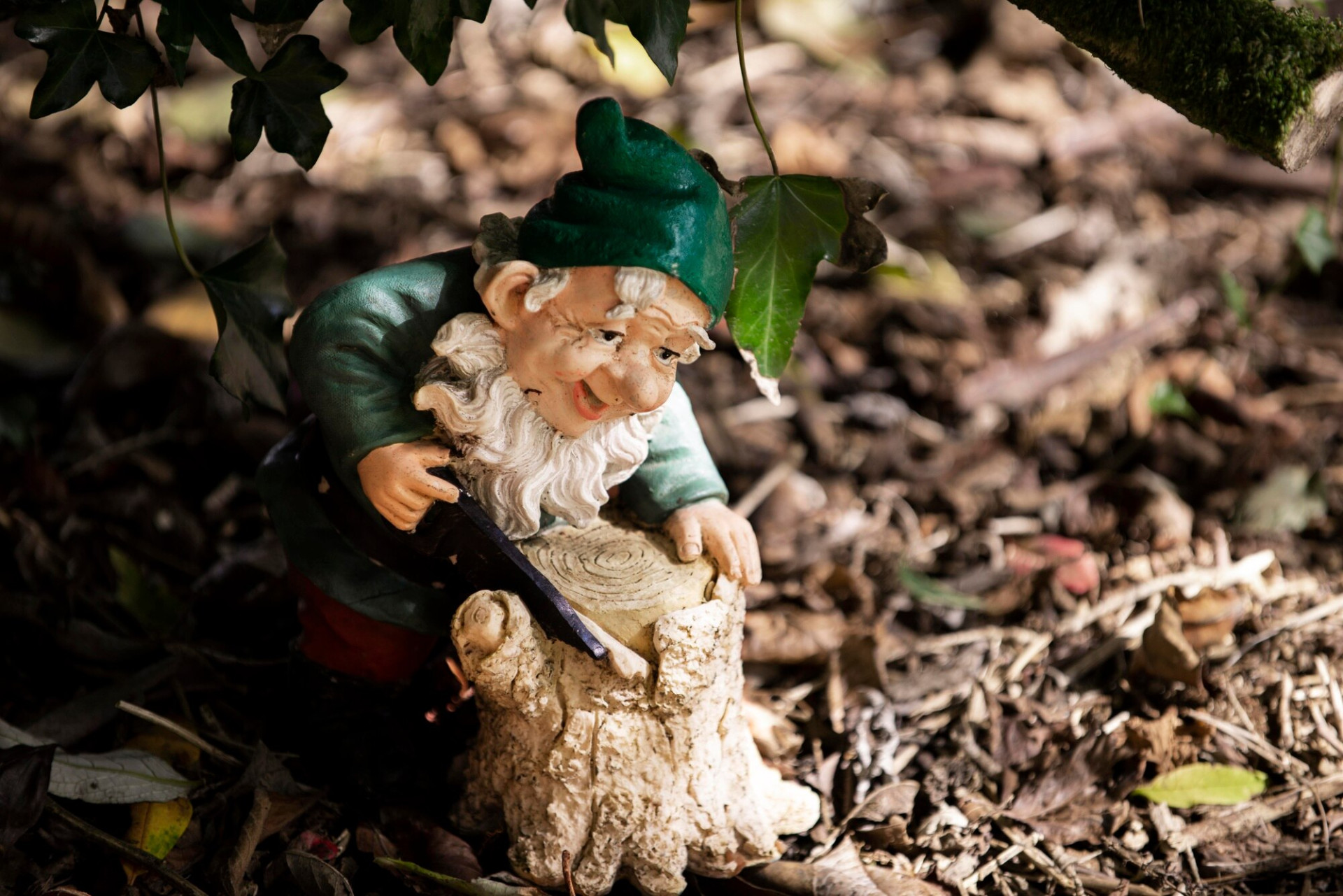 funny-garden-gnome-outside_23-2149136687.jpg