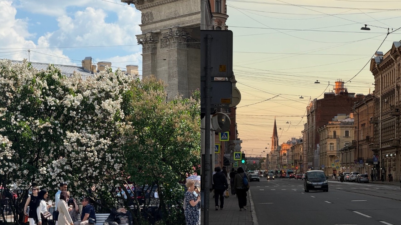 MyCollages - 2026-07-02T142427.666.jpg