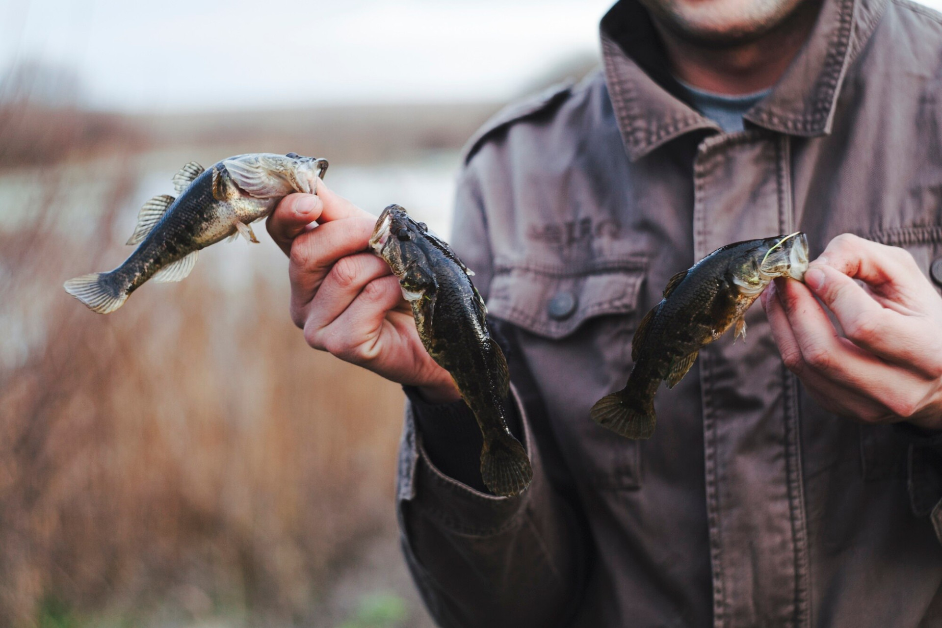 close-up-man-holding-caught-fresh-fish-hands_23-2147894010.jpg