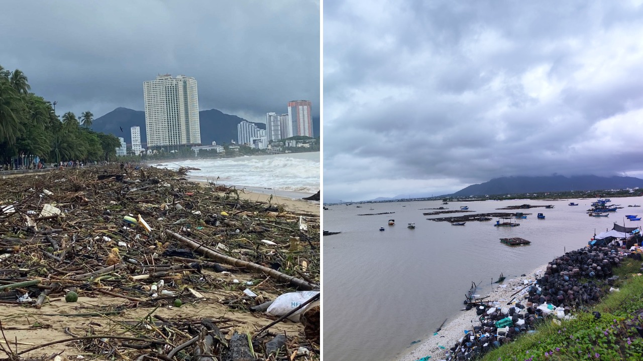 collage (13).jpg collage (13).jpg