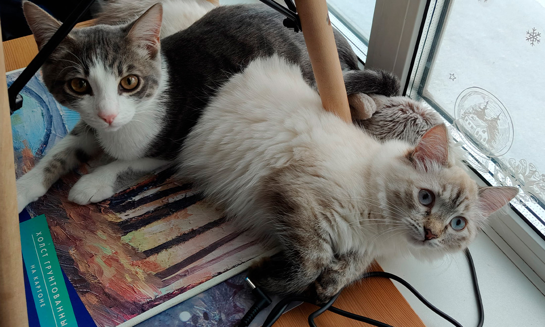 Симба и Рокси.jpg Симба и Рокси.jpg