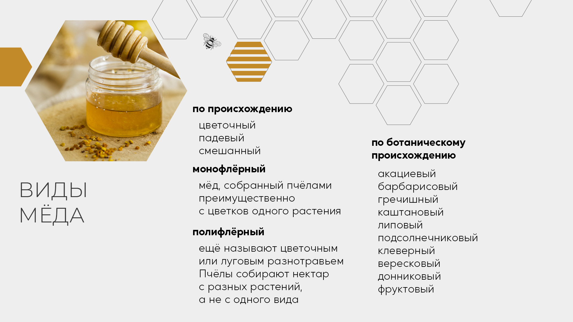 02 (5).jpg 02 (5).jpg