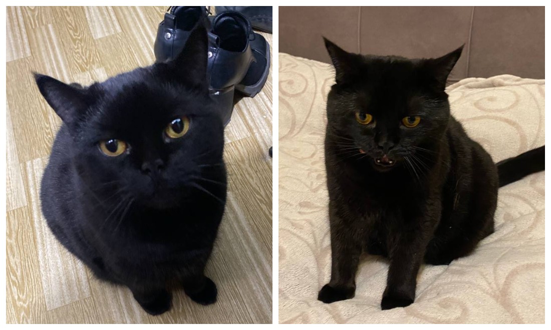 Fotoram.io (12).jpg Fotoram.io (12).jpg