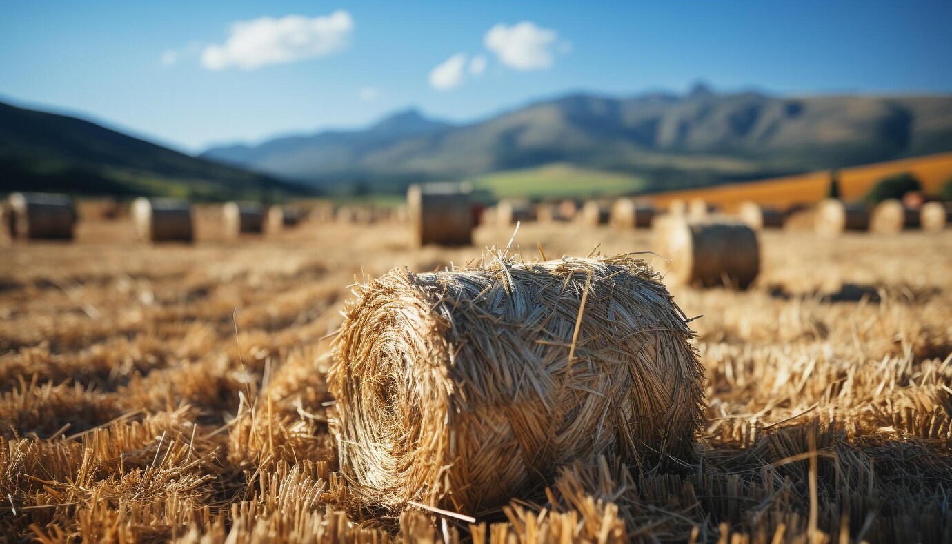 rural-scene-farm-meadow-haystacks-rolled-up-wheat-autumn-harvest-generated-by-artificial-intelligence_25030-67684.jpg