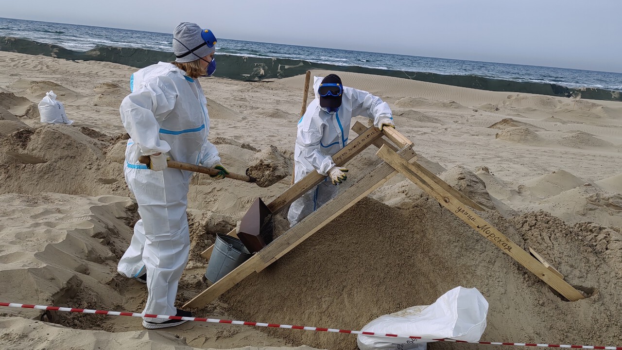 result_6DwvPRa1tLL1vdTeTV_-bs2yyIOKEbo78HPKVSPXy_W5tkevnnpE7lLnsBirU3nLsRkE8VszXrMhitOQM1FFqbDX.jpg result_6DwvPRa1tLL1vdTeTV_-bs2yyIOKEbo78HPKVSPXy_W5tkevnnpE7lLnsBirU3nLsRkE8VszXrMhitOQM1FFqbDX.jpg