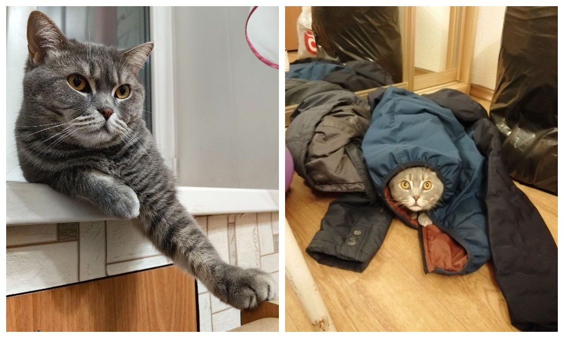 Fotoram.io (8).jpg Fotoram.io (8).jpg