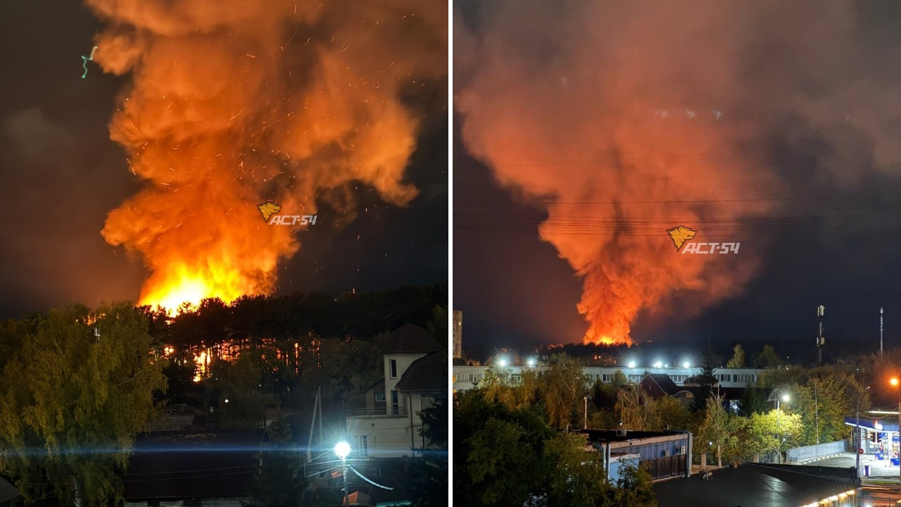 collage (24).jpg collage (24).jpg