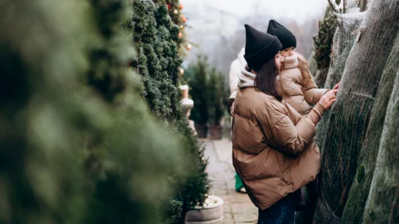 покупка ёлки.jpg