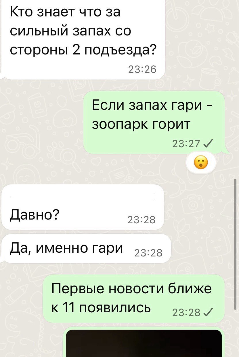 photo_2025-09-24_11-40-57.jpg photo_2025-09-24_11-40-57.jpg