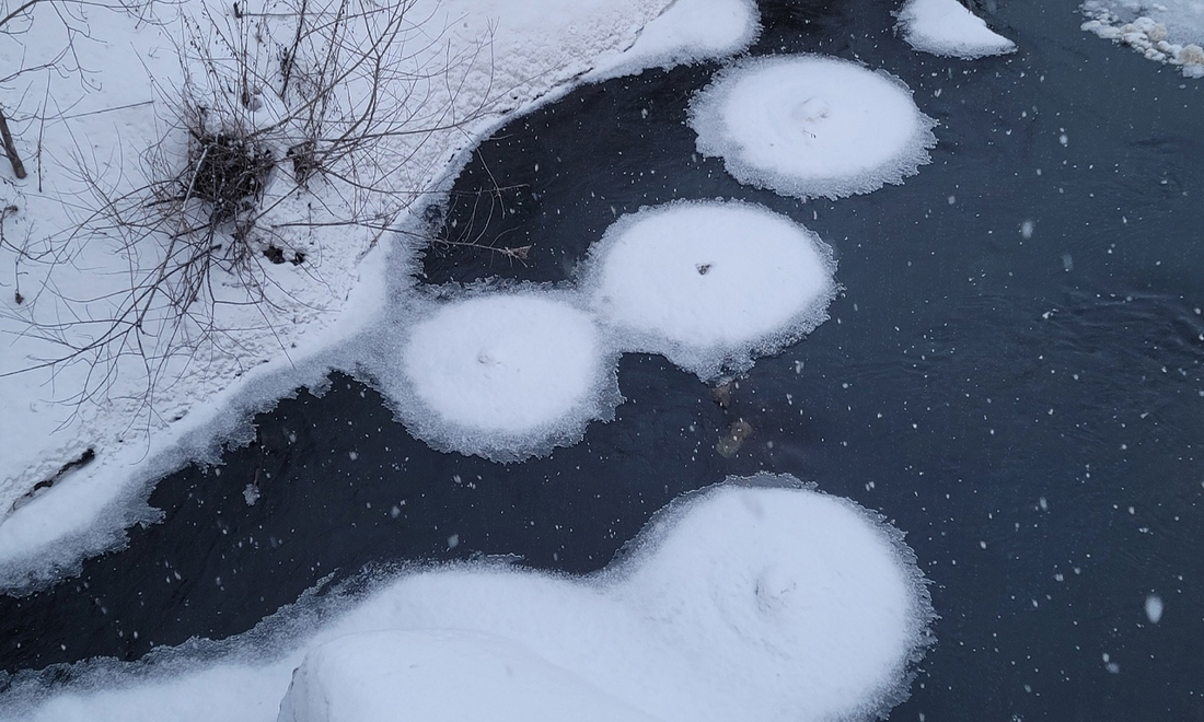 Без имени-1.jpg