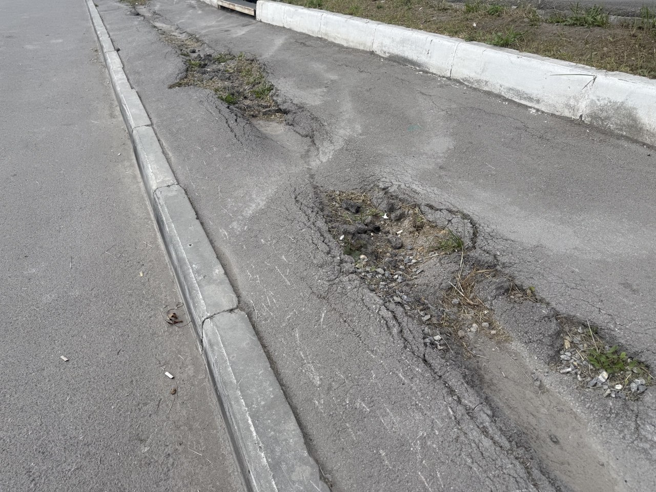 photo_2025-09-24_09-59-36.jpg photo_2025-09-24_09-59-36.jpg