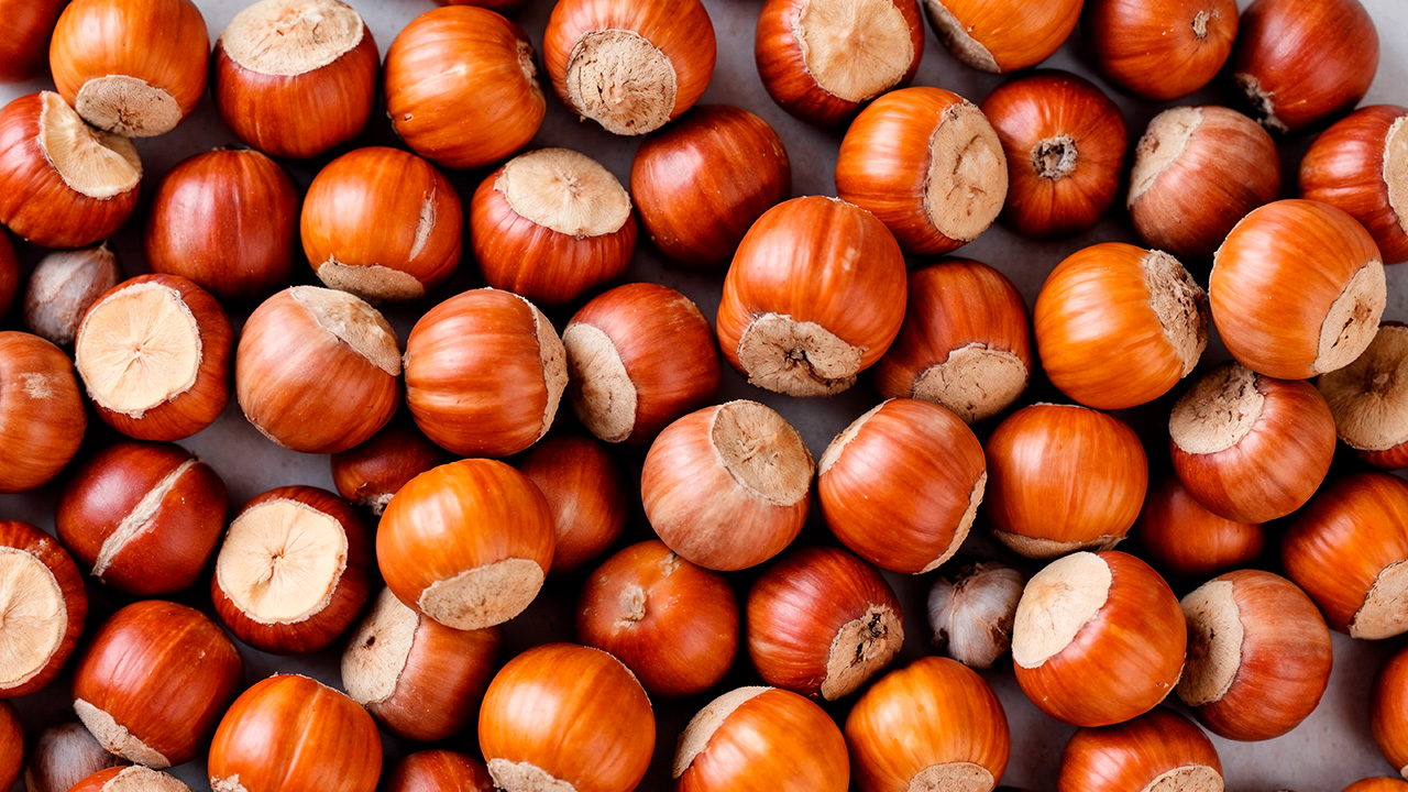 Фундук ИИ freepik.com.jpg