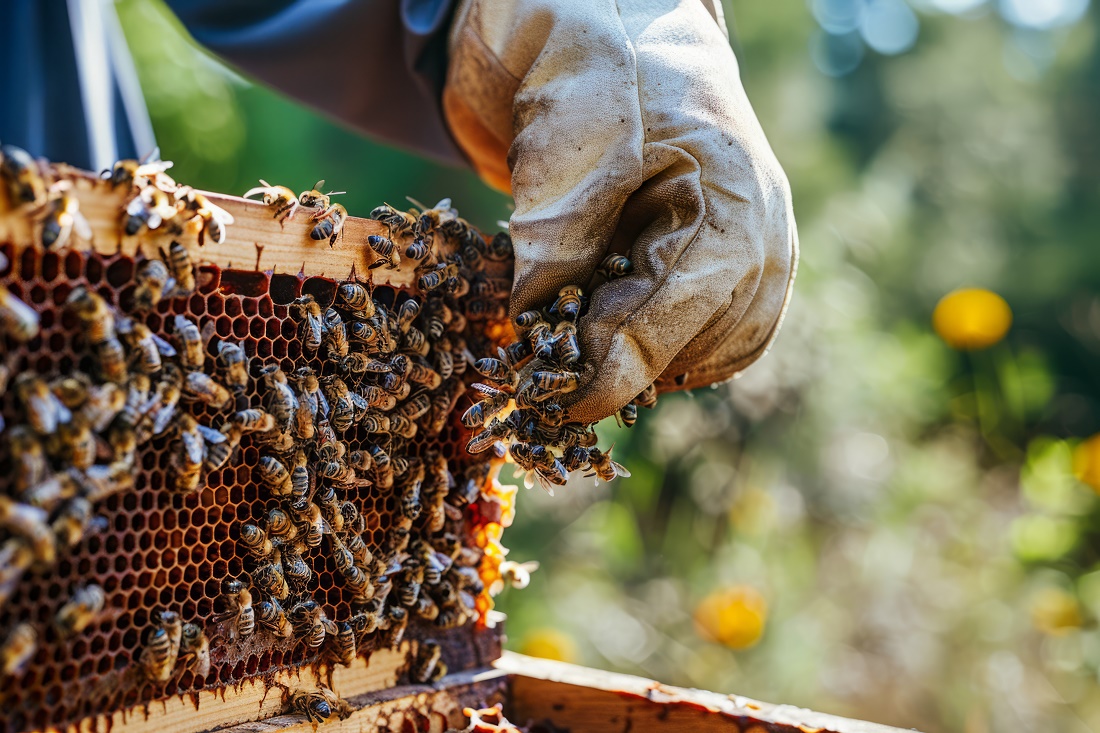 beekeeper-working-bee-farm.jpg